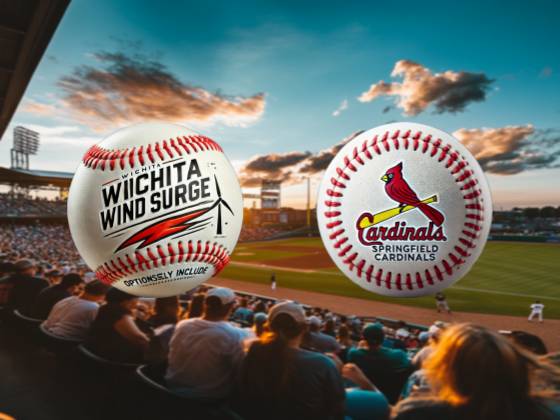 Springfield Cardinals vs. Wichita Wind Surge